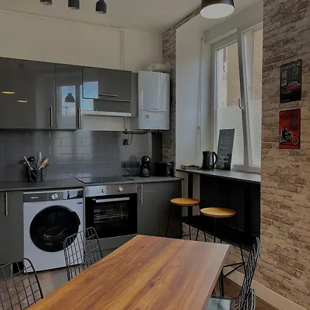 L'univers Automobile Au Coeur De Apartment Mülhausen